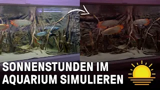 Tageslichtsimulation im Aquarium | Die richtige LED Aquarium Beleuchtung | Tag, Nacht, Dauer, Zeiten