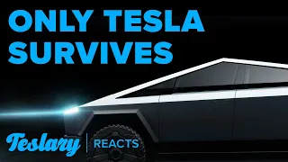 Wall Street Veteran Sees Tesla Beating Out All Competition