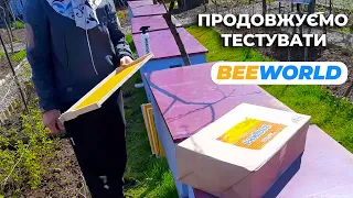 Продовжуємо тестувати вощину Bee World. Ставимо в вулик!