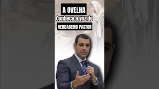 A OVELHA conhece a voz do VERDADEIRO PASTOR #pregação #shorts #ovelha