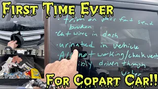 Copart First - Who Urinated In My Car??