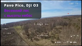 Betafpv Pavo Pico. DJI O3 Air Unit. Весенний лес с высоты небес