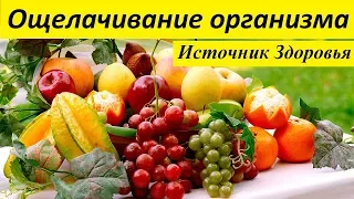 Ощелачивание организма - Источник Здоровья