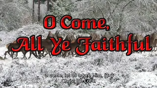 O Come All Ye Faithful - Lyrics - Old Bible Hymns - Acapella