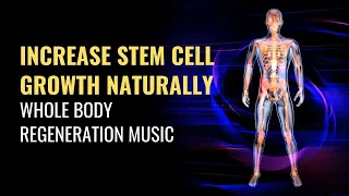 Increase Stem Cell Growth Naturally | Heal Your Stem Cells | Whole Body Regeneration Music | 528 Hz