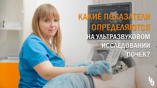 Какие показатели определяются при ультразвуковом исследовании почек? — рассказывает Е.В. Квактун.