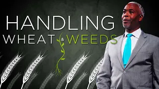 Handling Wheat and Weeds | Bishop Dale C. Bronner | Word of Faith Family Worship Cathedral