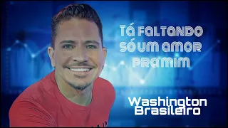 Washington Brasileiro《Tá Faltando Só Um Amor Pra Miim》#tafaltandosóumamorpramim#washingtonbrasileiro