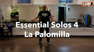 Практическая музыкальность в 2mambo: 4. La Palomilla