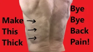 Erector Spinae Muscles Exercises