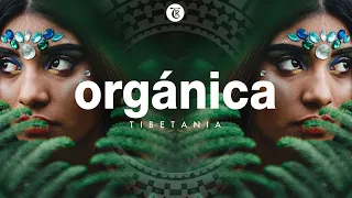 ORGANICA MIX 2023 | Finest Organic & Ethno Deep House Music | Dj Mix by Marga Sol