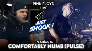 Pink Floyd Reaction Comfortably Numb LIVE PULSE (NO WAY!) | Dereck Reacts