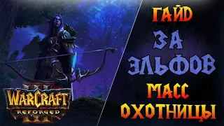 Самая простая стратегия - масс охотницы!   Warcraft 3 Reforged - Гайд за Ночных Эльфов