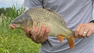 Рыбалка в Ростовской области. Выходной у воды. Рыбы гиганты.
