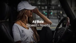 Ay Bala | Slowed Reverb | Janaga