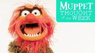 Muppet Thought of the Week feat. Animal | The Muppets