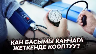 КАН БАСЫМЫ КАНЧАГА ЖЕТКЕНДЕ КООПТУУ БОЛОТ? // Ден соолук