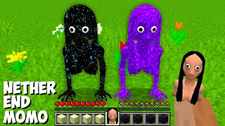 What if you SPAWN END vs NETHER MOMO in Minecraft ? SUPER END and NETHER MOBS in MINECRAFT !
