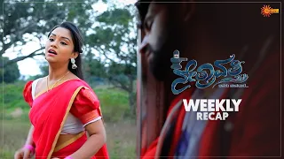 Nethravathi | Ep 244 - 249 | Weekly Recap | Udaya TV | Kannada Serial