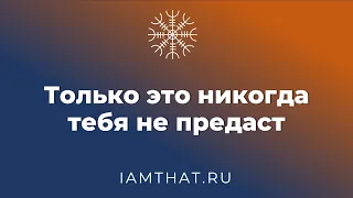 Только это никогда тебя не предаст