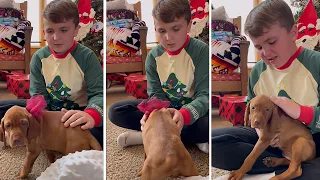 Boy overcome with emotion after new puppy for Christmas