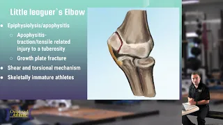 Injuries in Youth Baseball: Little Leaguer’s Elbow, Little Leaguer’s Shoulder, and Panner’s Disease