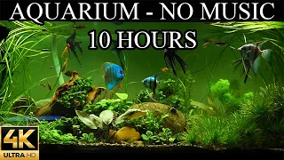 Dream Aquarium 4K Fish Tank Water Sounds NO Music NO Ads - 10 Hours | Aquarium Sounds For Sleeping 🐠