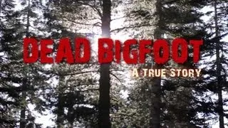 From the documentary "Dead Bigfoot" - Bart Cutino