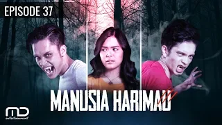 Manusia Harimau - Episode 37