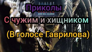 AVP:ПРИКОЛЫ С ЧУЖИМ И ХИЩНИКОМ (в голосе Гаврилова)