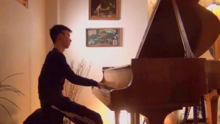 Alan Walker - Sing Me To Sleep (Piano cover) by David Fang