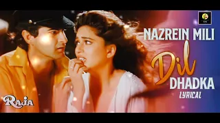 Nazrein Mili Dil Dhadka | Raja Songs | Madhuri Dixit | Sanjay Kapoor | Udit Narayan | Alka Yagnik