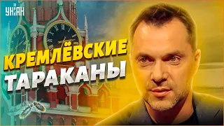 Арестович: Кремлевские тараканы суетятся, поняв, что не выдержат новой атаки ВСУ