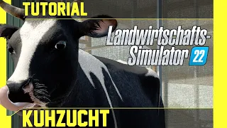 LS 22 Kühe Tutorial: Kurz, leicht und verständlich erklärt