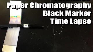 Paper Chromatography (Time Lapse) Black Ink