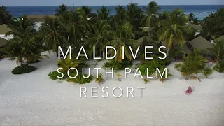 4К🇲🇻 MALDIVES🏝️| Hotel South Palm Resort | Relaxing Chill-Out Lounge #14 | Мальдивы 4K Дрон