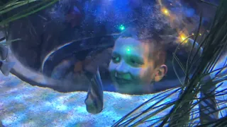 May 2024: Under the sea at SeaLife Aquarium Orlando!