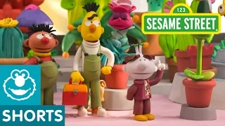 Sesame Street: Flower Shop | Bert and Ernie's Great Adventures