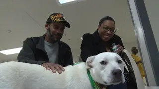 Service dog program helps veterans and inmates