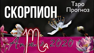 таро прогноз скорпион апрель 2020