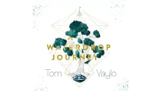 Tom Vaylo - A Waterdrop Journey - Handpan Full Album