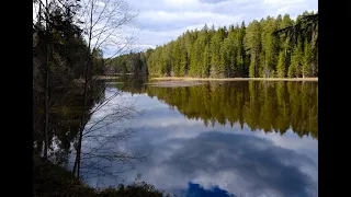 Kiidjärve - Taevaskoja, Estonia (4K video)