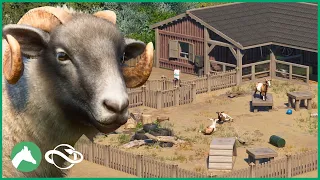 Building a Walkthrough Habitat for GOATS & SHEEP in the Elm Hill City Zoo! | Planet Zoo