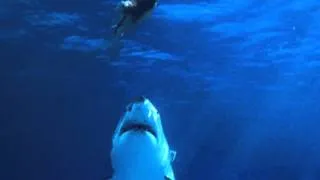 Jaws Theme (Ultimate Arrangement)