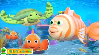 Underwater Ballet - Learn Sea Animals with Fun Song & More Kids Rhymes