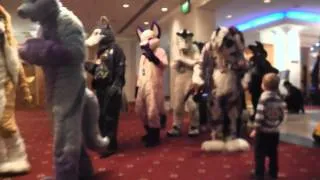 Confuzzled 2014 Child meets the furries - THE JOY!