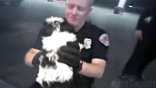 Bodycam Footage Shows Albuquerque Police Saving Choking Puppy