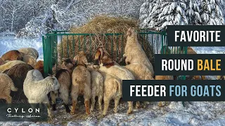 Favorite round bale feeder for goats