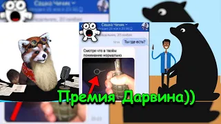 Самые Глупые Смерти - Лауреаты Премии Дарвина | реакция Red Panda