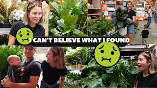 BIG BOX STORE HOUSEPLANT SHOPPING! | YOU WILL NOT BELIEVE WHAT I FOUND LOL